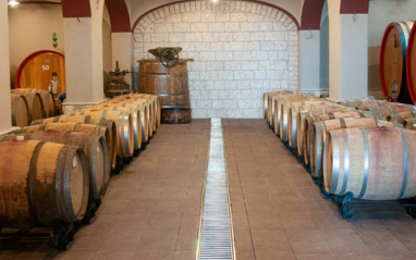 Sala de crianza de al bodega