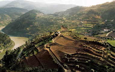 Viñedos en Douro