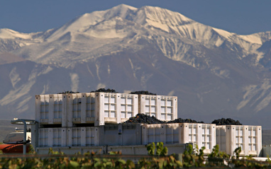 Cajas de vendimia con los Andes al fondo