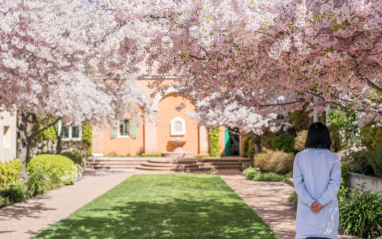 Floración en la bodega