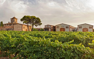 Vista de bodega y viñedos