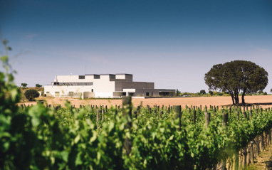 Bodega Dehesa de Luna