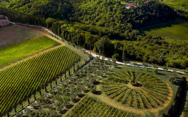 La finca a vista de pájaro