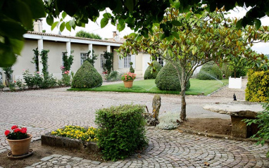 Jardines de la bodega