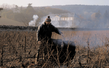 El trabajo en el campo es manual