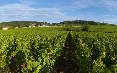 La esencia de Beaune