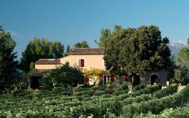 Panorámica de bodega y viñedos