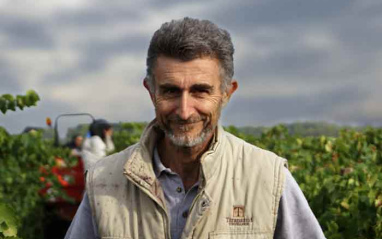 Michel Gassier