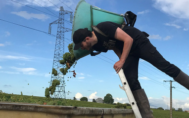 Equipo Domaines Vinet