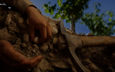 Trabajando las tierras