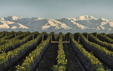 Viñedos y paisaje montañoso