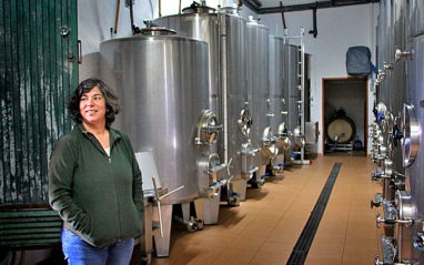 Sala de elaboración