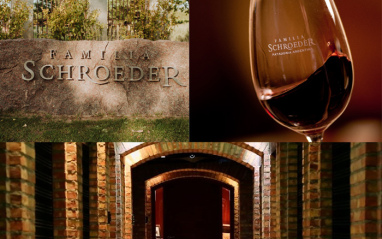 Collage de la bodega