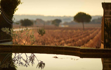 Las viñas de la bodega disfrutan de unas condiciones privilegiadas