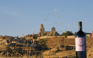 Paisaje de Toro