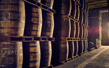 Barricas en las que envejece Flor de Caña