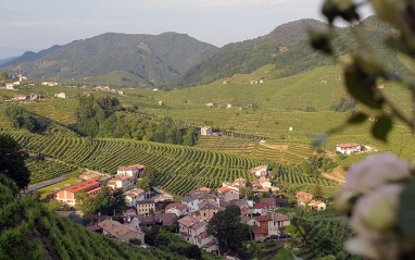 Vista aérea de los terrenos