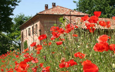 Primavera en Fontanafredda