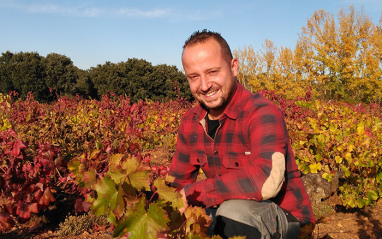 Trabajando en viñedo