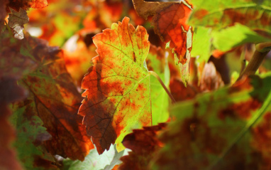 Otoño