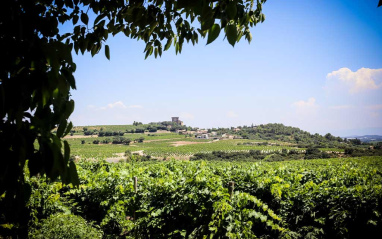 Localización de la bodega