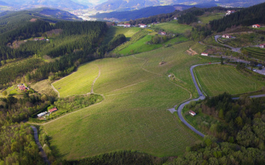 Vista aérea de los viñedos