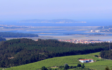 Panorámica de la Ría de Arousa