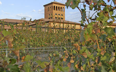 Exteriores de la bodega