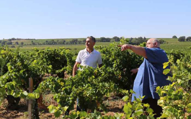Cambie y Gassier en la viña