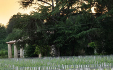 Anochece en Château Haura