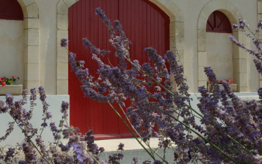 Château Haut-Marbuzet