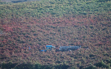 Tractor en los viñedos