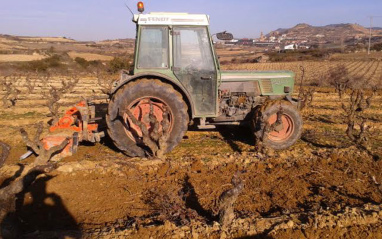 Arando la viña