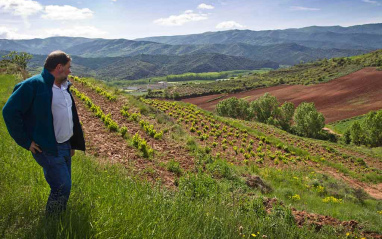 Juan Carlos Sancha en el viñedo