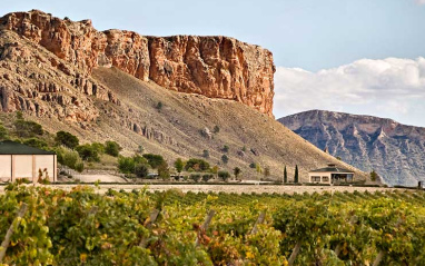 Entorno y bodega