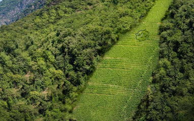 El paisaje de la bodega