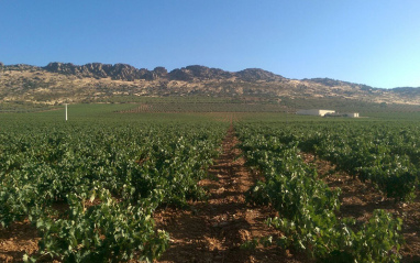 Panorámica general del pago