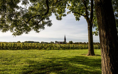 Vinas Laurent-Perrier,Tours-sur- Marne, Champagne