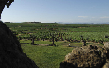 Interior de la bodega