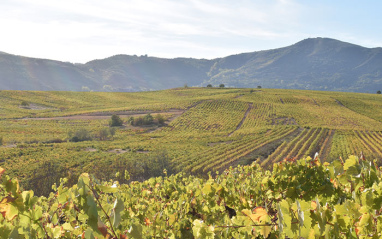 Panorámica de paisaje