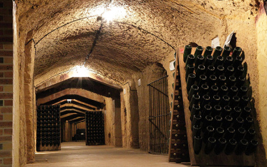 Cava de la bodega