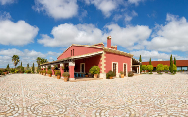 Vista de la bodega