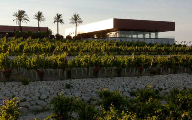 Vista de la bodega junto al viñedo