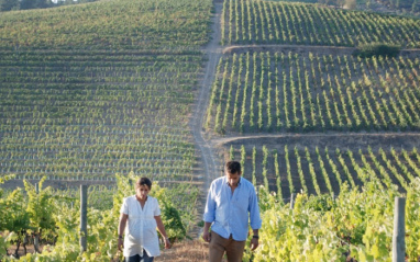 Brothers in grapes