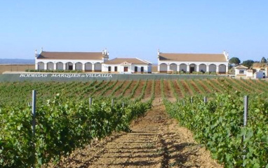 Vista desde los viñedos Vista desde los viñedos
