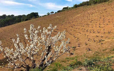 Entorno de la bodega.