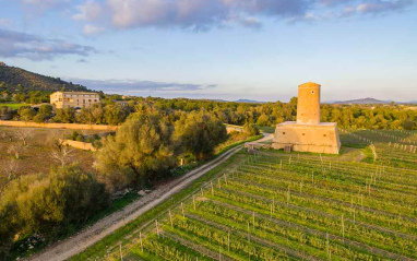 Vista aérea de la bodega