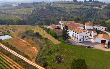 Vista general de la bodega