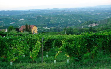 Vista panorámica