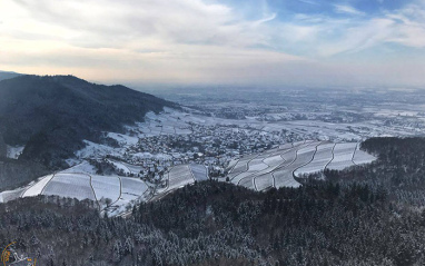 Weingut Nägelsförst